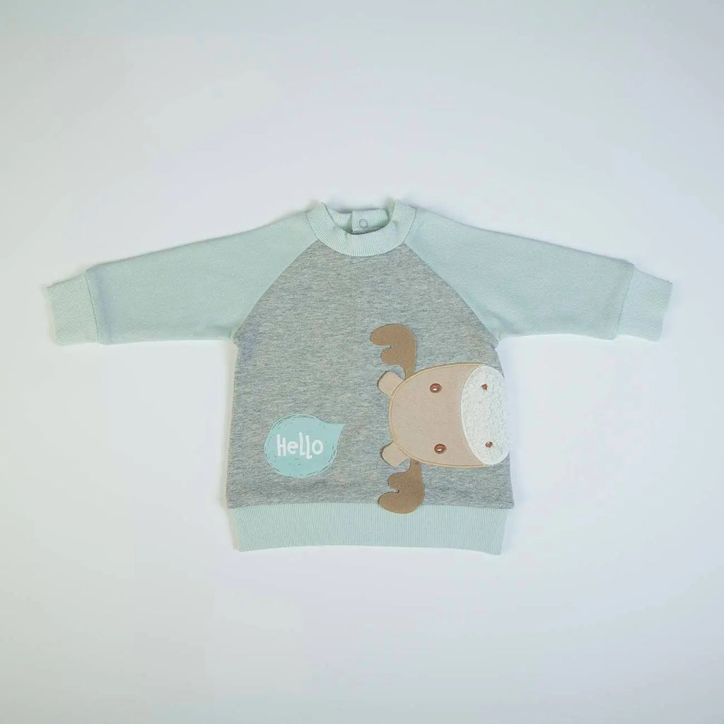 16220 - Ensemble jogging (sweat-shirt + pantalon) - AW 24/25 FS Baby